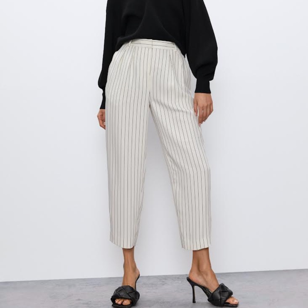 Aritzia ~ Babaton Modesto Pant